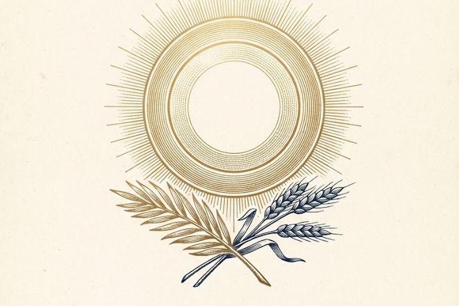 Santo del Día