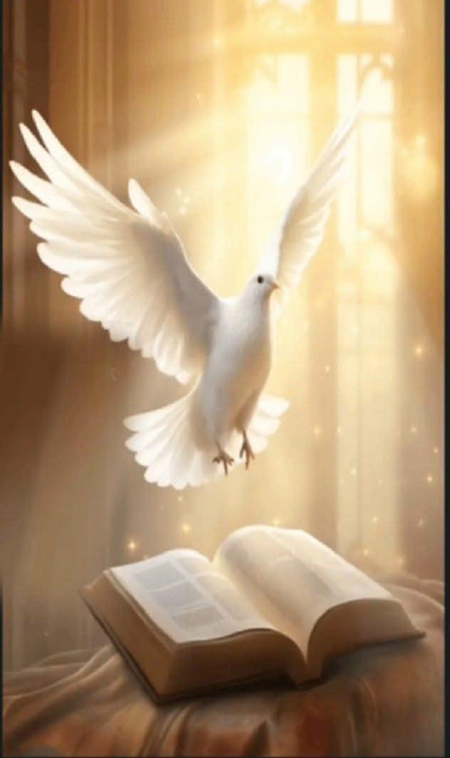 Novena para abrir caminos