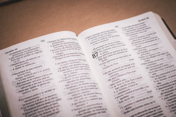 Libro de los Salmos